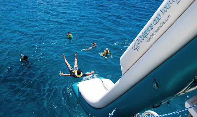 하와이 돌핀 크루즈 거북이 스노클링 투어 by Dolphins and You