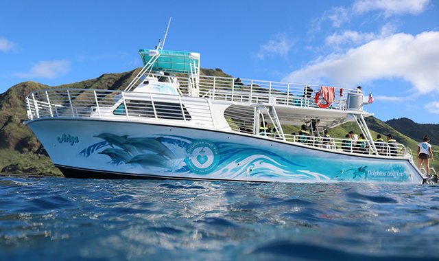 하와이 돌핀 크루즈 거북이 스노클링 투어 by Dolphins and You