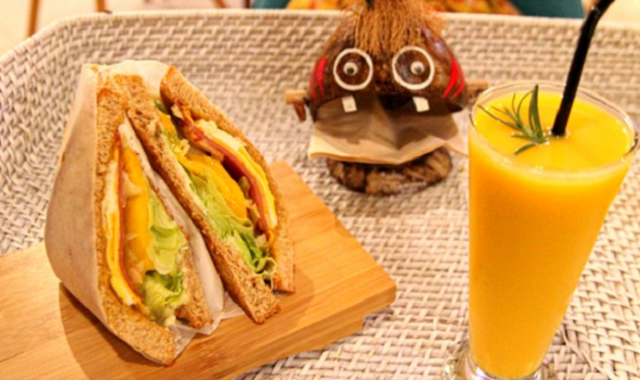 세부 모알보알 드림팩 by 트리쉐이드