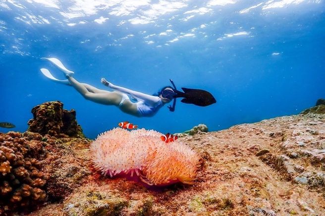 Pattaya Nemo Island Snorkeling Tour from Bangkok