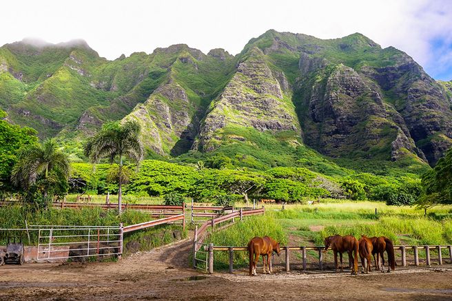Hawaii Kualoa Ranch Experience Tour - UTV, Jurassic Zipline, Bike