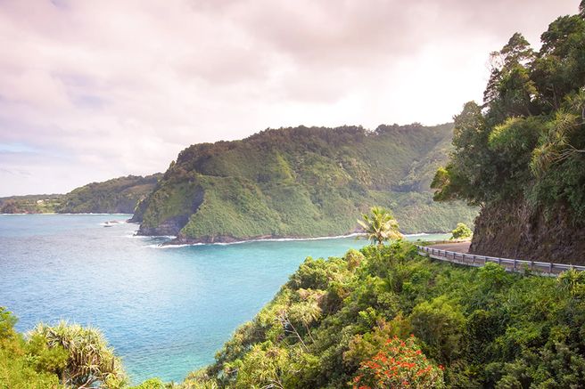 ワイキキ発 マウイ島日帰りツアー | 航空券・送迎・現地ガイドツアー・昼食込み