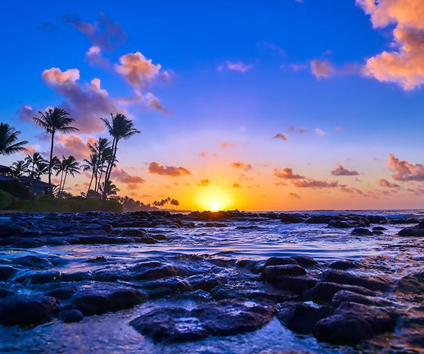 activity_detail_image