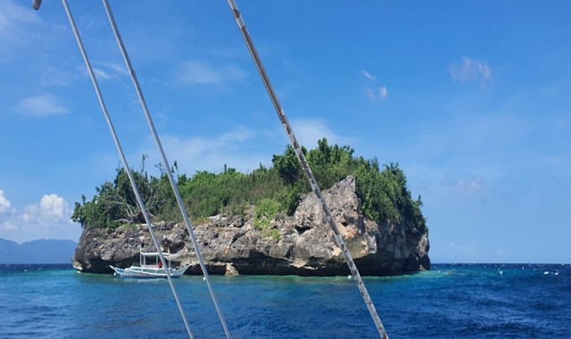 세부 모알보알 단독 호핑투어 by 세부지킴이