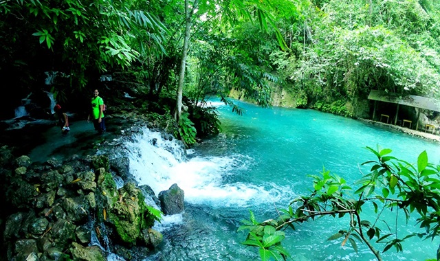 세부 오슬롭 고래상어 & 가와산 캐녀닝 풀코스 & 모알보알 단독 투어 by 세부지킴이