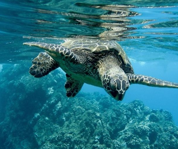 activity_detail_image