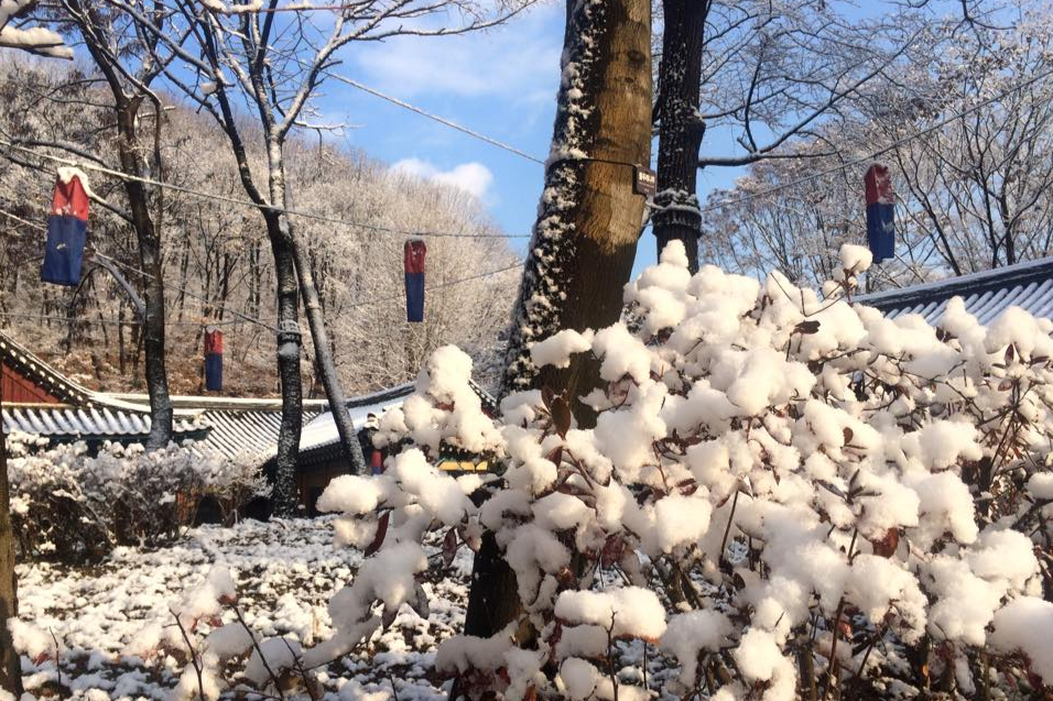 경기 용인 한국민속촌 & 눈썰매장 패키지