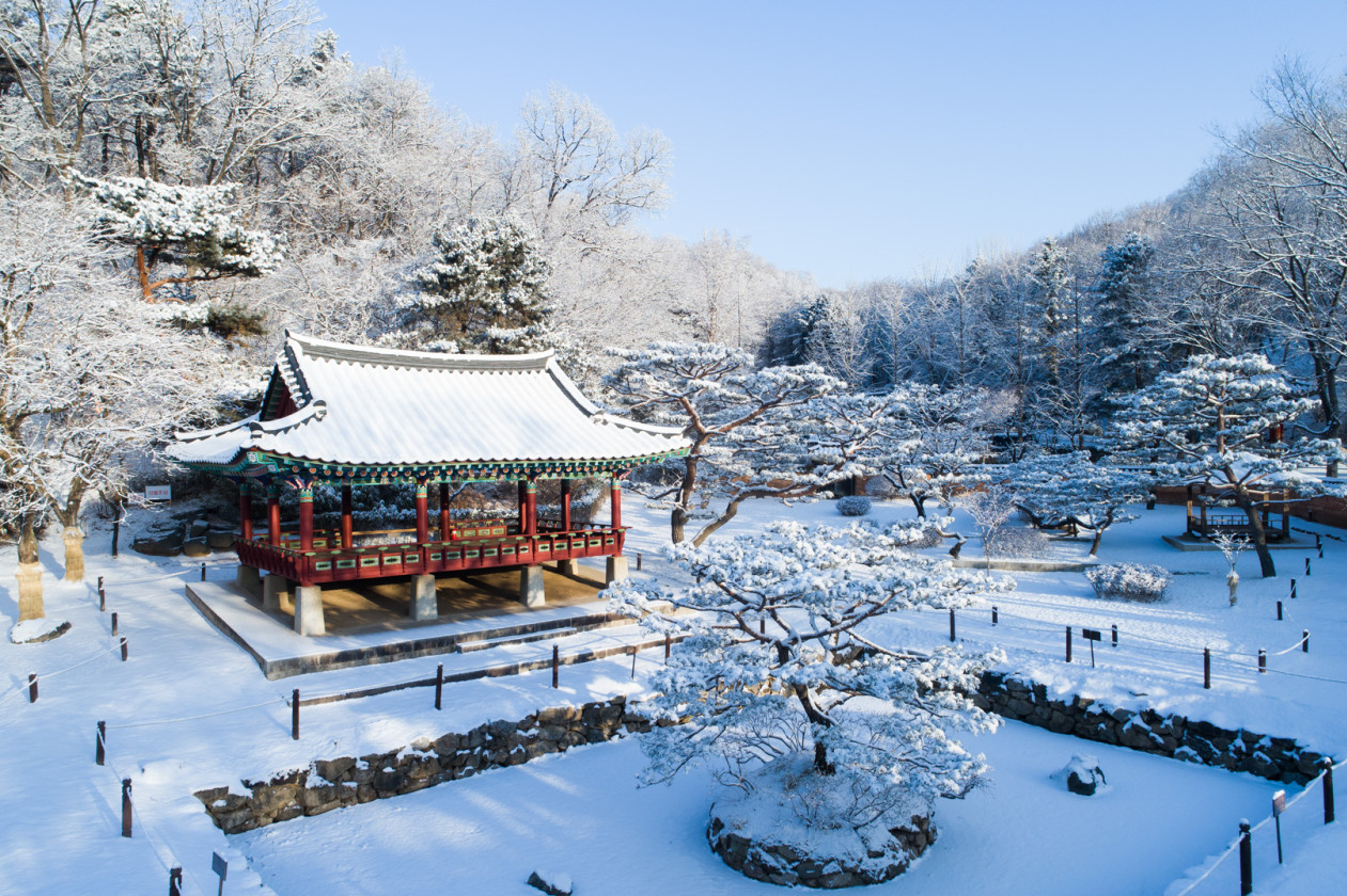 경기 용인 한국민속촌 & 눈썰매장 패키지