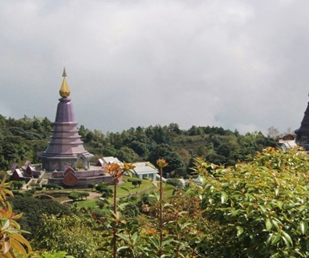 activity_detail_image