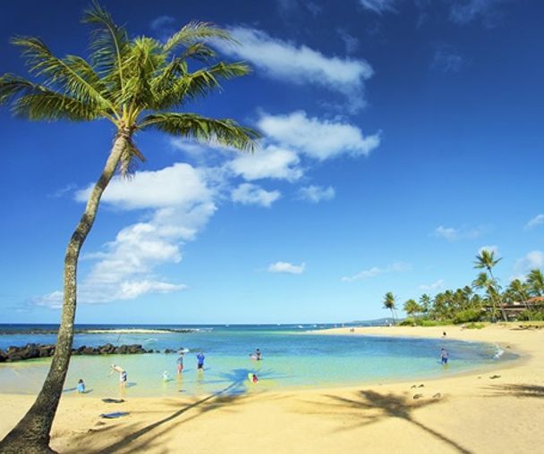 activity_detail_image