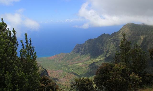 하와이 카우아이 공항 출발: 정원의 섬, 카우아이 일일 투어