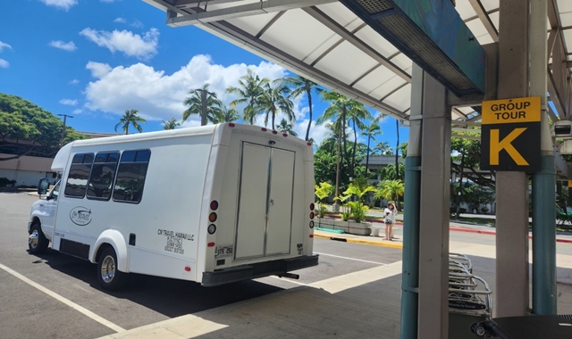 Hawaii Honolulu Airport Pickup Service + Turtle Snorkeling & Dolphin Cruise Tour