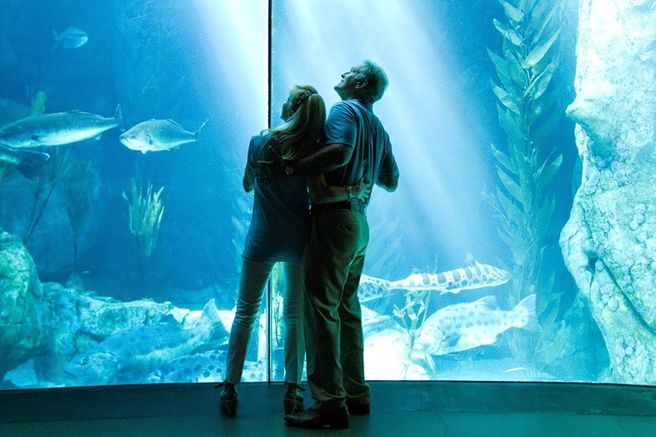 Los Angeles: Aquarium of the Pacific Ticket