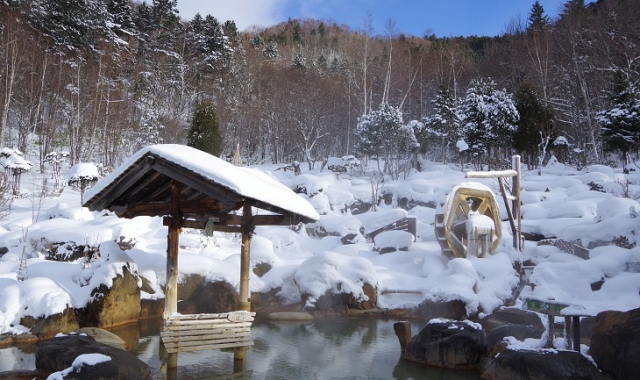 [엔데이트립] 삿포로 호헤이쿄 & 오타루 & 닛카 위스키 일일 버스투어