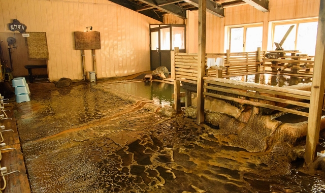 [엔데이트립] 삿포로 호헤이쿄 & 오타루 & 닛카 위스키 일일 버스투어