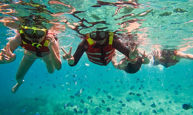 나트랑 혼문섬 마린파크 호핑 & 머드 온천 체험 투어 (WAUG Exclusive)