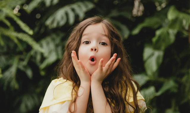 멜버른 스냅 사진 투어 by Smiler