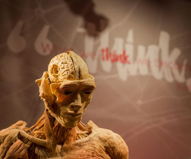 activity_detail_image