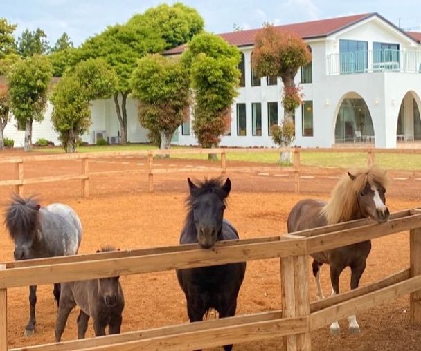 activity_detail_image