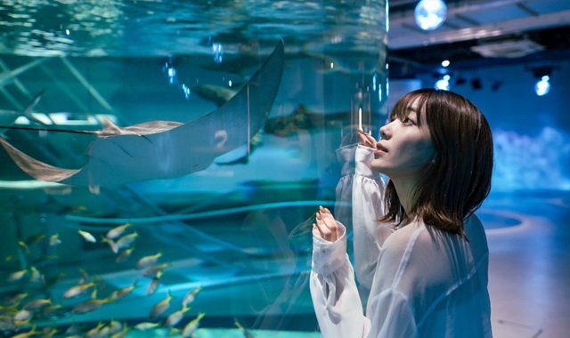 神戸フェリシモチョコレートミュージアム パッケージ入場券