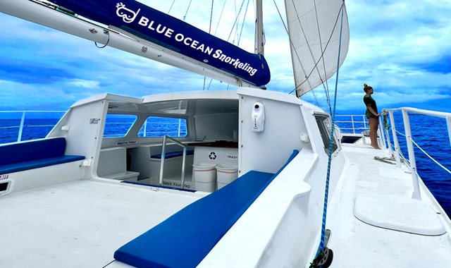 하와이 와이키키 100% 보는 거북이 스노클링 투어 (선셋 세일링 / 해양 액티비티 5종 콤보)