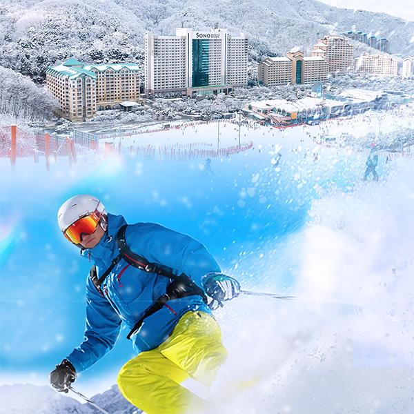 25/26 강원 홍천 비발디파크 스키 리프트권 & 렌탈PKG & 스노위랜드 & 오션월드 이용권