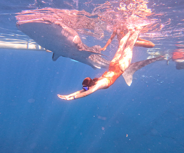 activity_detail_image