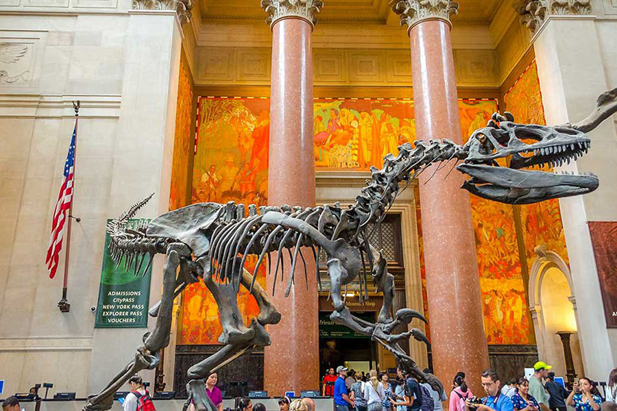 New York: American Museum of Natural History Ticket