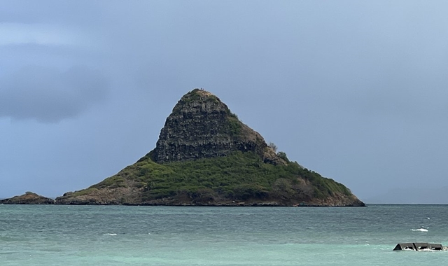 하와이 오아후 뵤도인 사원 & 인기 스팟 프라이빗 투어
