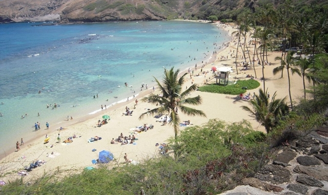 하와이 오아후 섬 하이라이트 단독 투어