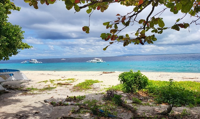 Bohol: Balicasag & Virgin Island Hopping & Snorkeling Private Tour