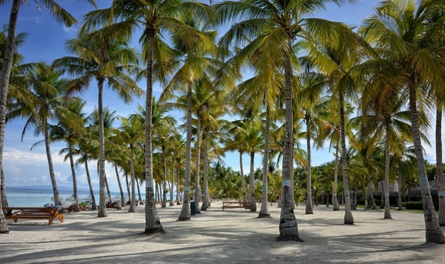 Bohol: Balicasag & Virgin Island Hopping & Snorkeling Private Tour