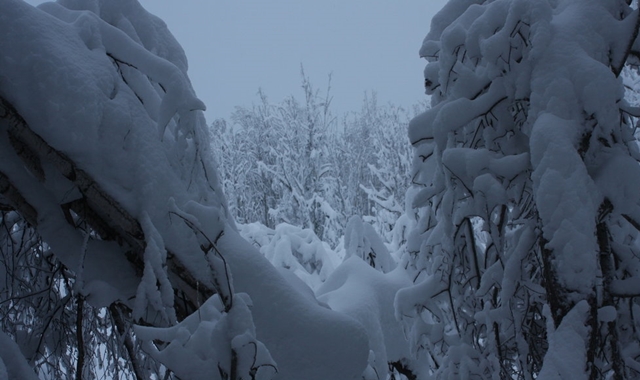 activity_detail_image
