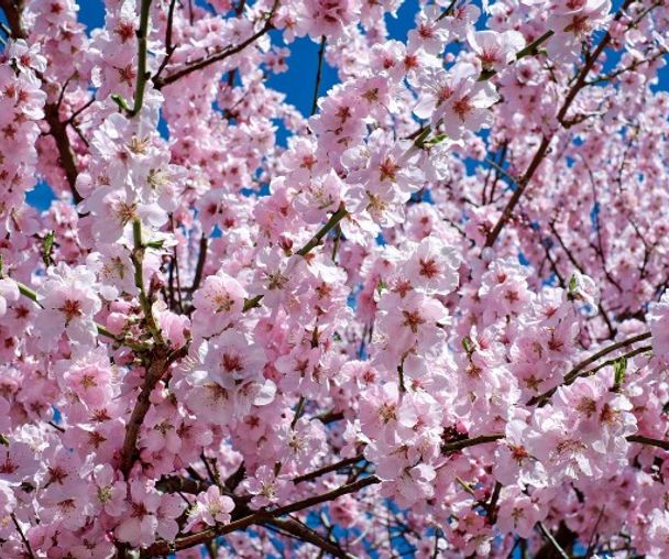 activity_detail_image