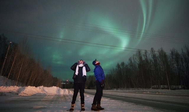 알래스카 페어뱅크스 오로라 체이싱 일일 투어