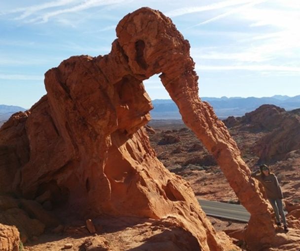 activity_detail_image