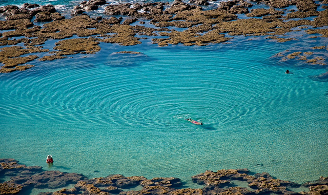 Hawaii Hanauma Bay & Lanikai Beach Snorkeling & Pillbox Hike Tour