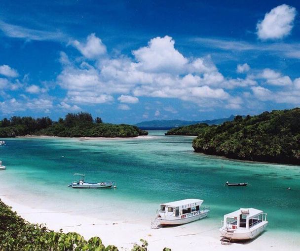 activity_detail_image