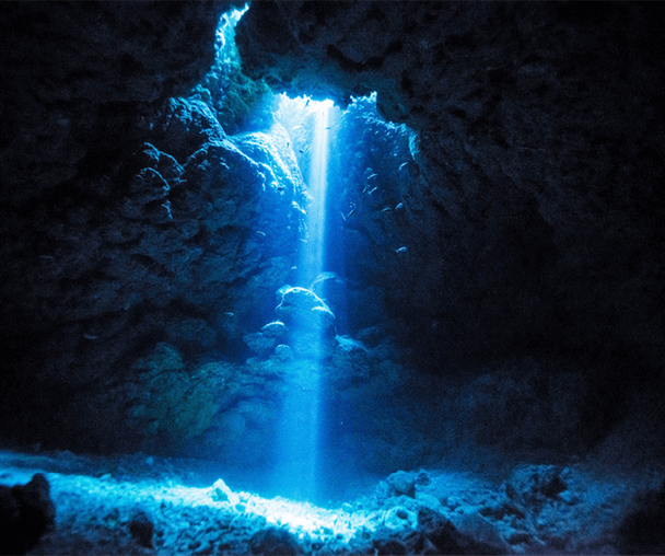 activity_detail_image