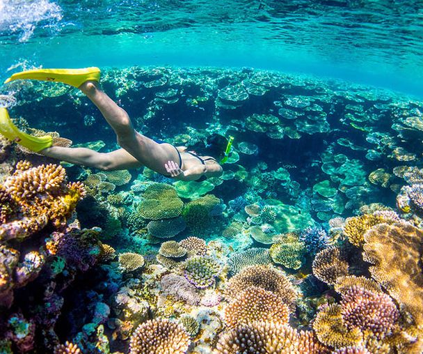 activity_detail_image