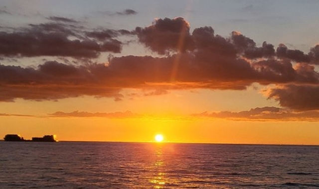 하와이 선셋 프리미엄 크루즈 - 거북이 스노클링 & 와인 파티 그리고 해양 액티비티!