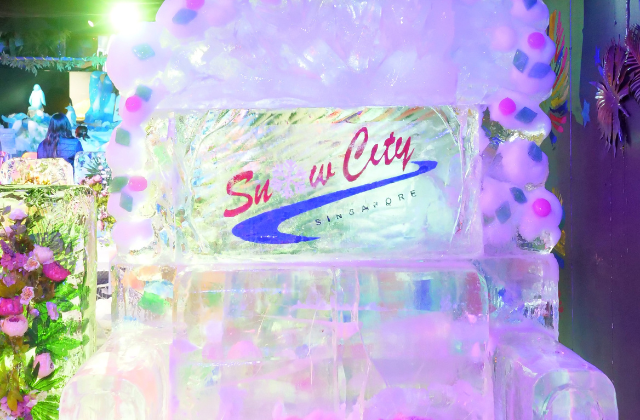 Singapore Snow City Ticket