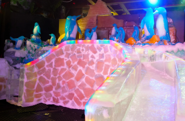 Singapore Snow City Ticket