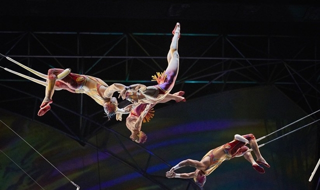 라스베가스 미스테르 쇼 티켓