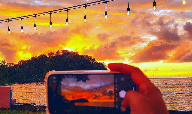 코타키나발루 수림 반딧불 투어 (코타스윙, 포토존, 가까운 거리)