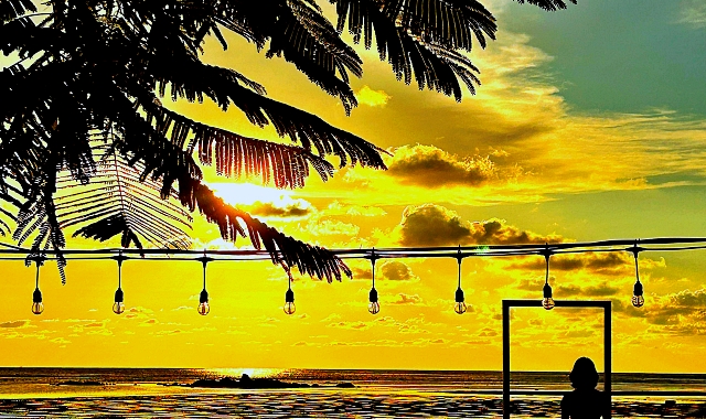 코타키나발루 수림 반딧불 투어 (코타스윙, 포토존, 가까운 거리)