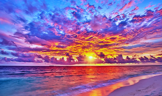 코타키나발루 수림 반딧불 투어 (코타스윙, 포토존, 가까운 거리)