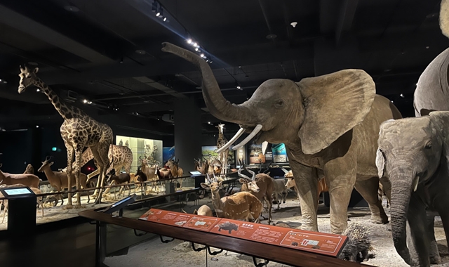 [오늘두여행] 가오슝 출발: 타이난 일일 버스투어