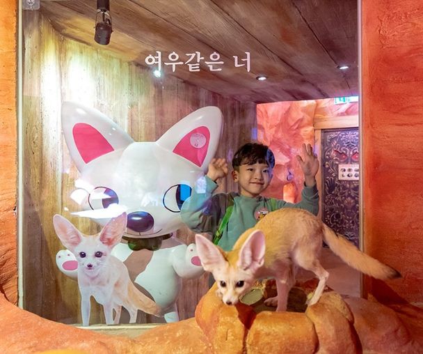 activity_detail_image