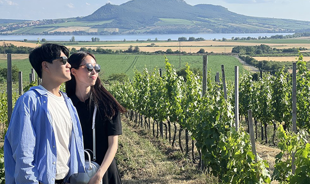 프라하 근교 남부 모라비아 와이너리 투어